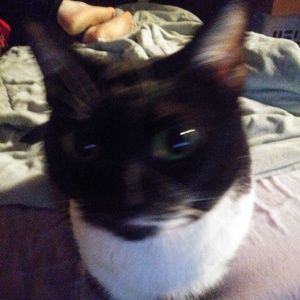 Meet your Posher, Christine